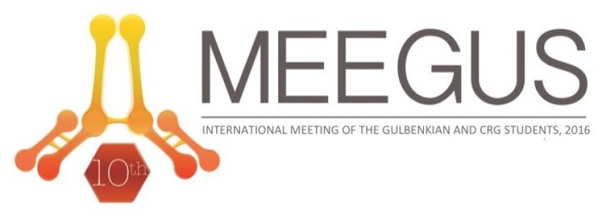 ameegus_logo2